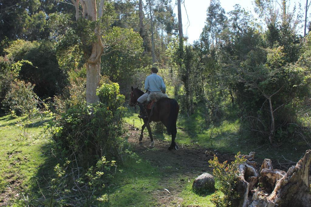 Refugio Pullao Quilquico